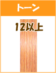 12トーン以上