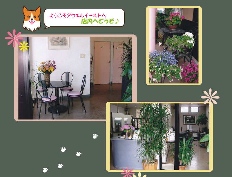 ようこそダウエルイーストへ　店内へどうぞ♪