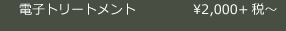 電子トリートメント……2,100円～